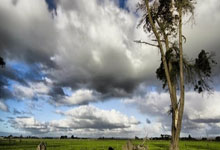 90分和即时比分滚球二合一有何区别与特点？