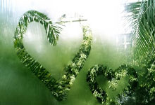 上海五星体育今天节目表有哪些精彩内容？